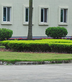 企業(yè)環(huán)境